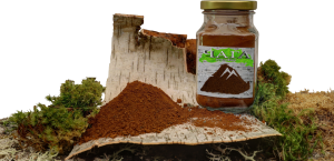 mlevena chaga